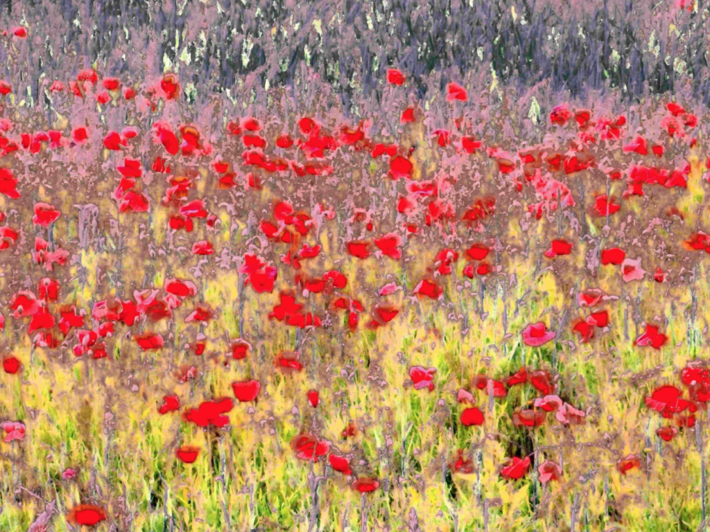 Flowers by Leoo